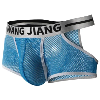 Mesh Underwear