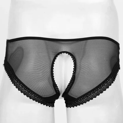 Crotchless Panty with Sheer Lace Detailing - Image 3