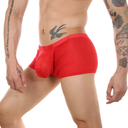 Open Crotch Boxer Brief with Breathable Mesh - Image 8
