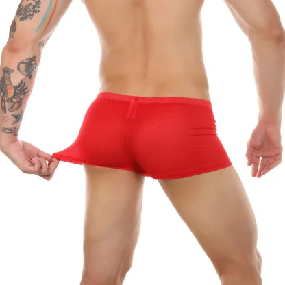 Open Crotch Boxer Brief with Breathable Mesh - Image 9