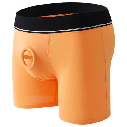 Comfortable Boxer Brief with Crotchless Design - Image 3