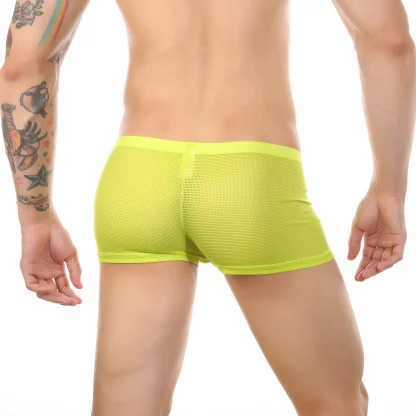Open Crotch Boxer Brief with Breathable Mesh - Image 14
