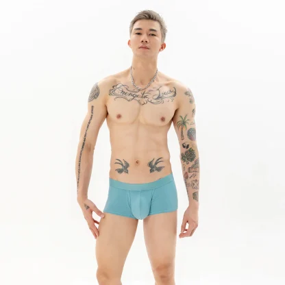Soft Elastic Boxer Brief with Plain Color - Image 3